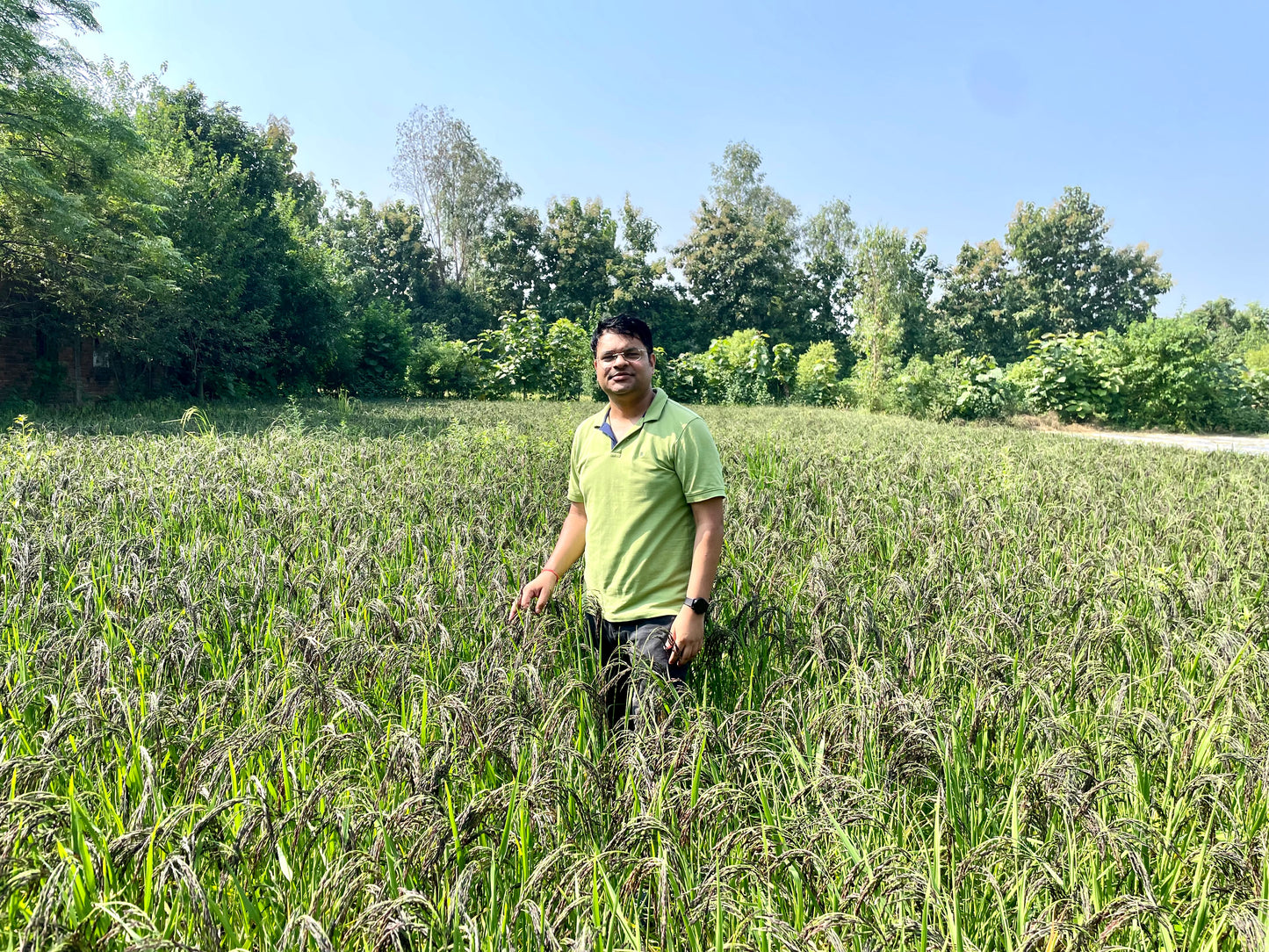 Growfarm Organic Kala Namak Rice | GI Product | Original Taste | Buddha Rice | Good Aroma 5 Kg