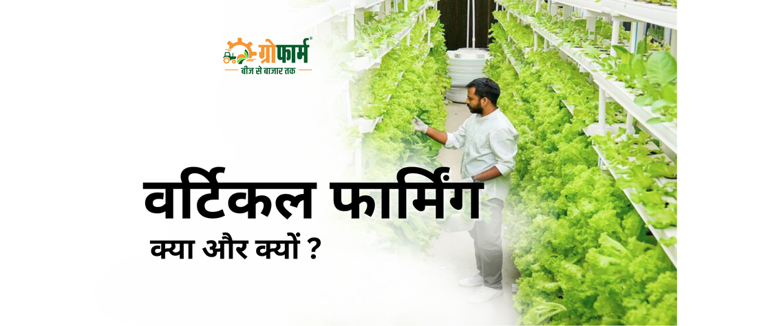 वर्टिकल फार्मिंग: क्या है, कैसे होती है, और भारत के लिए क्यों जरूरी है?